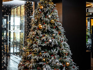 The Ritz-Carlton Baku и JW Marriott Absheron Baku
приглашают отметить Рождество и Новый год