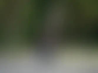 Исследование: девять из десяти россиян совершали спонтанные путешествия за последний год