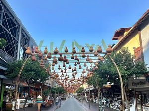 Маленькие чемоданы для путешествий. Россияне экономят на багаже!