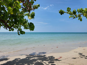 Вьетнамом стали интересоваться в три раза больше