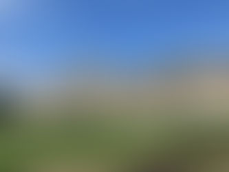 Брюссель: открытие обновленного Музея Африки