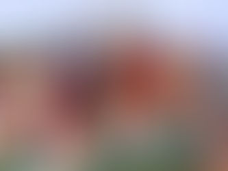 «ПОКРОВСКАЯ ЯРМАРКА». Псков. 
Музейный праздник - туризм выходного дня.