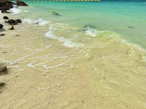 Бразилия фиксирует рост занятости в туризме благодаря международному спросу