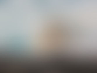 Заказнику «Земля Франца-Иосифа» – 21 год