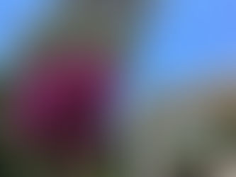 Турция: лидер летнего сезона 2024