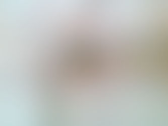 У томского туриста в аэропорту отобрали крохотную черепашку, привезённую из Турции