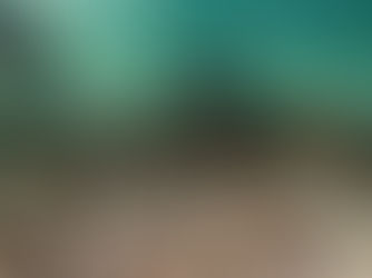 В Швейцарии подняли со дна озера груз римского судна возрастом 2000 лет