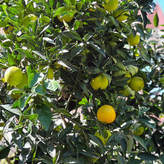 Туризм на Кипре под давлением: отели фиксируют спад бронирований