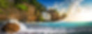 5e23bfc6992bfac0622971c2_Neil-island-Banner.jpg