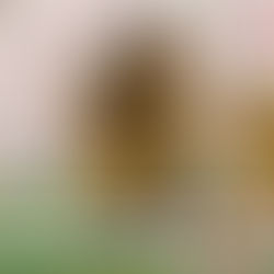 和台灣運彩一起迎接【不敗對決一觸即發!水晶宮對決利物浦】9/27(六) 22:00