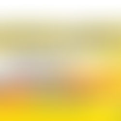 台灣運彩 美國職籃季後賽 丹佛金塊 VS 明尼蘇達灰狼 4月26日