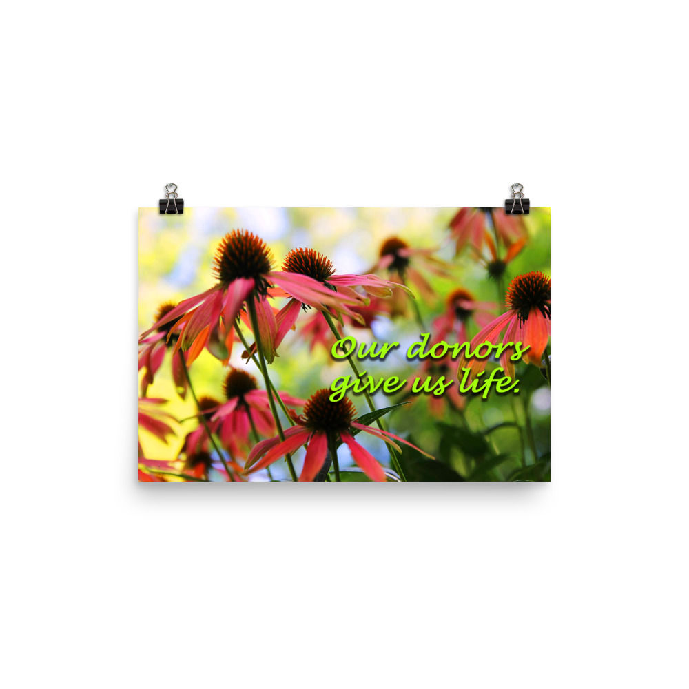 Donors Give Us Life Poster