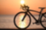 bike-7139074_1280.jpg