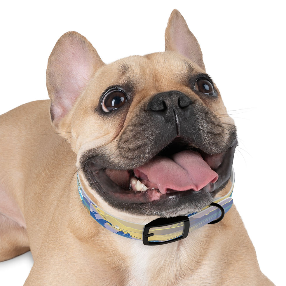 Thumbnail: Beachscape Dog Collar