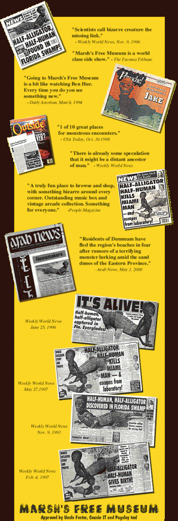 Jake Timeline article