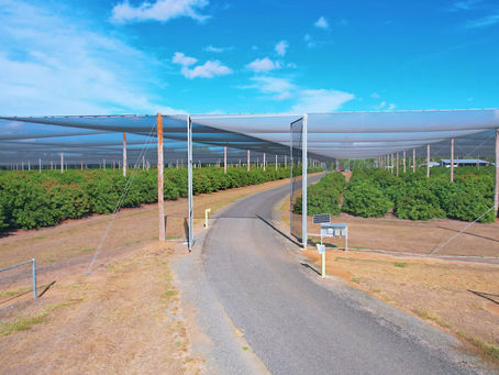 Milestone Acquisition Completed