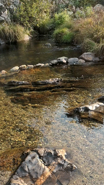 PXL_20210822_171739154._exported_stabilized_1629997629329.gif