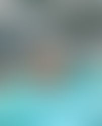 La Nouvelle Calédonie