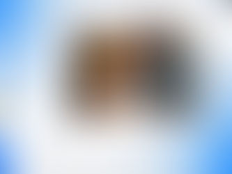 KPIS de Marketing Digital: Maximize seu Sucesso Online