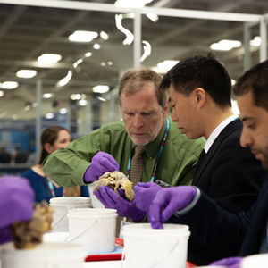 American Heart Surgeons Association