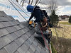 cougar roofing shoes cougar paw roofing shoes cougar paw boots cougar paw roof boots cougar paw work boots cougar paws for women cougar paw shoes cougar paws for roofing cougar paw boots near me cougar paw boots for roofing cougar paws shoes near me roofing cougar paws tiger paws roofing shoes cougar roofing boots bear paw roofing boots tiger paw roofing boots cougar claws shoes cougar paws sneakers cougar paws roofing cougar paws roofing boots near me cougar paws performer boot bear claw roofing shoes tiger paws boots abc supply cougar paws cougar paws roofing shoes near me cougar claw boots cougar paws metal roofing shoes cougar paw metal roof boots cougar paws steel walker boots cougar paws inc roofing boots near me cougar paws estimator boot cougar paws boots for sale near me cougar paws canada tiger paws shoes cougar paws estimator cougar paw steel walker cougar paws reviews cougar paws metal roof cougar paws for sale cat paw roofing boots roofing boots for sale cougar paws estima