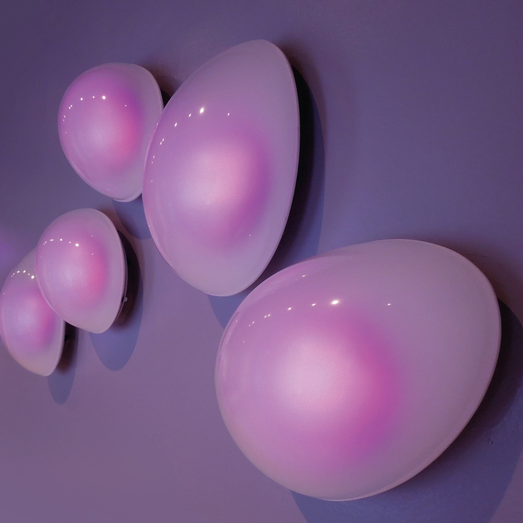 Antonia Papatzanaki "Microscopies"