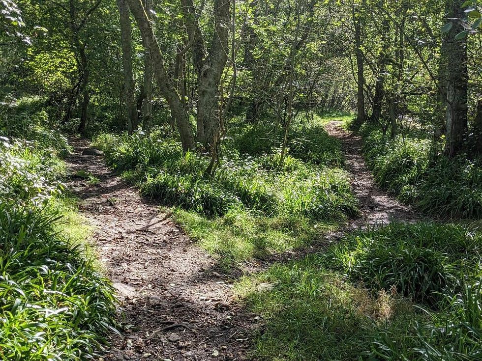 woodland and Thornley House.jpg
