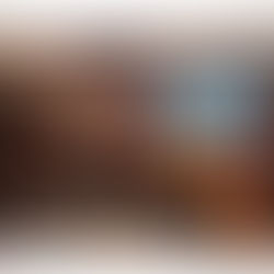 Official launcf of the project "Cross-border Fire Prevention Initiative in National Park Tara and Protected Landscape Trebević through the LFM Framework" in Skopje, North Macedonia