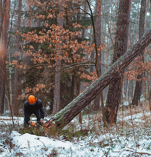 markus-spiske-_b9mXKt0fc4-unsplash copy.