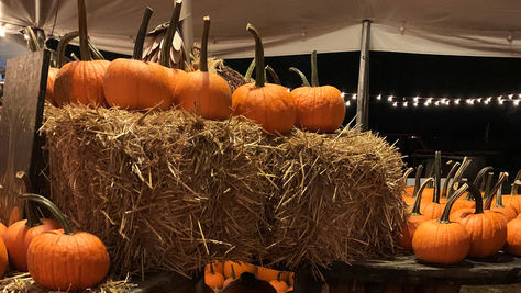 Halloween at Central Florida's Lake Catherine Blueberry Farm