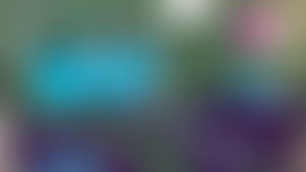 Epcot's Festival of the Arts 2020 Review