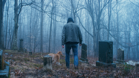 GOOD BOY Trailer Unleashes Canine-Led Thriller, In Theaters Oct. 3