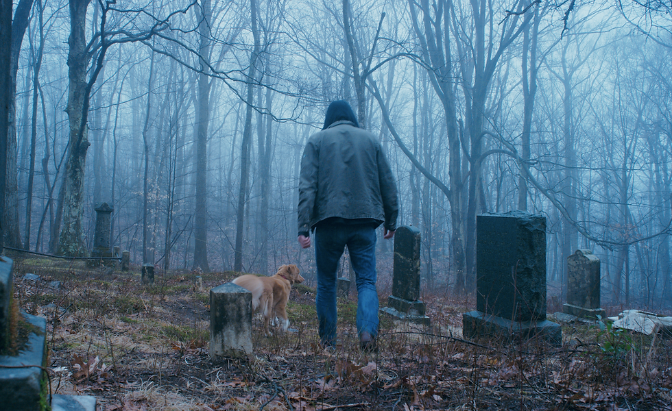 GOOD BOY Trailer Unleashes Canine-Led Thriller, In Theaters Oct. 3
