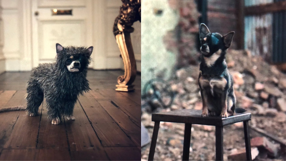 Bluebell the dog as Wink in Cruella c/o Disney