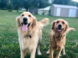 Wrigley and Wregan