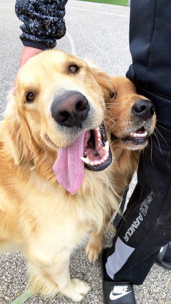 Wrigley and Wregan