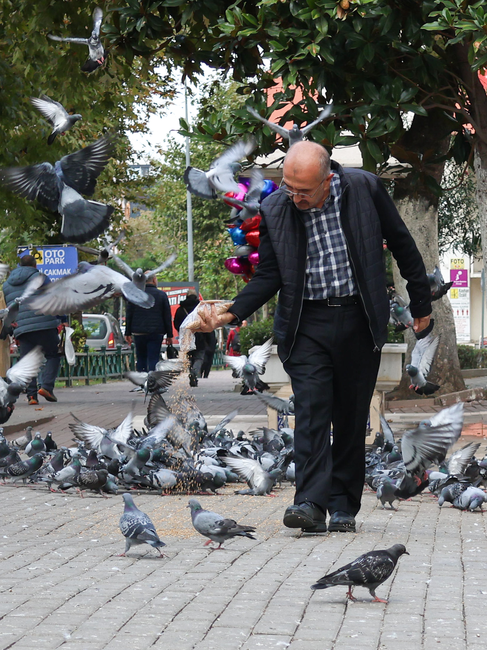 Blog: Vicdan Vakfı 1. Fotoğraf Yarışması’nın Kazananları Belli Oldu