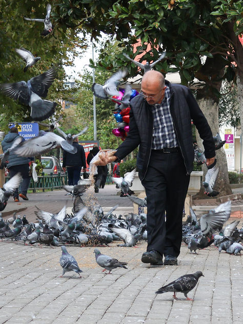 Vicdan Vakfı 1. Fotoğraf Yarışması’nın Kazananları Belli Oldu