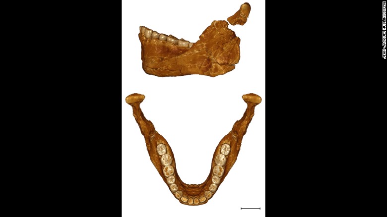 Alt çene kemiği aynı zamanda buluntuları hem modern insanlarla, hem de o zamanlar yaşayan diğer bir insansı tür olan Neandertallerle karşılaştırma imkanı verdi. 