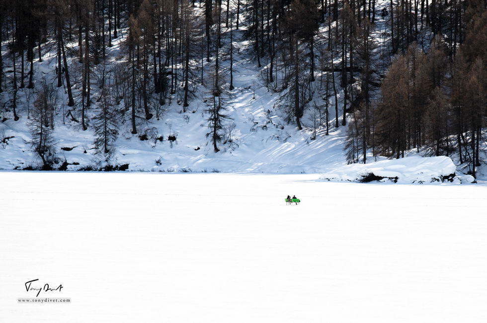 Suisse-0137.jpg