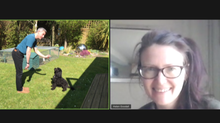 Video consultations available