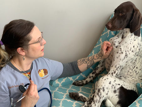 What is Integrative Medicine, Really?