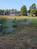 Landscape Maintenance Services