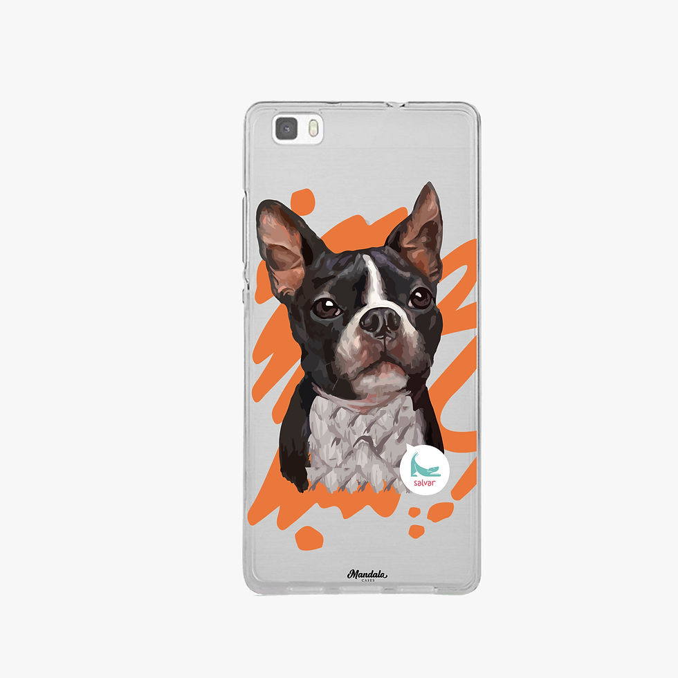 Miniatura: Boston case