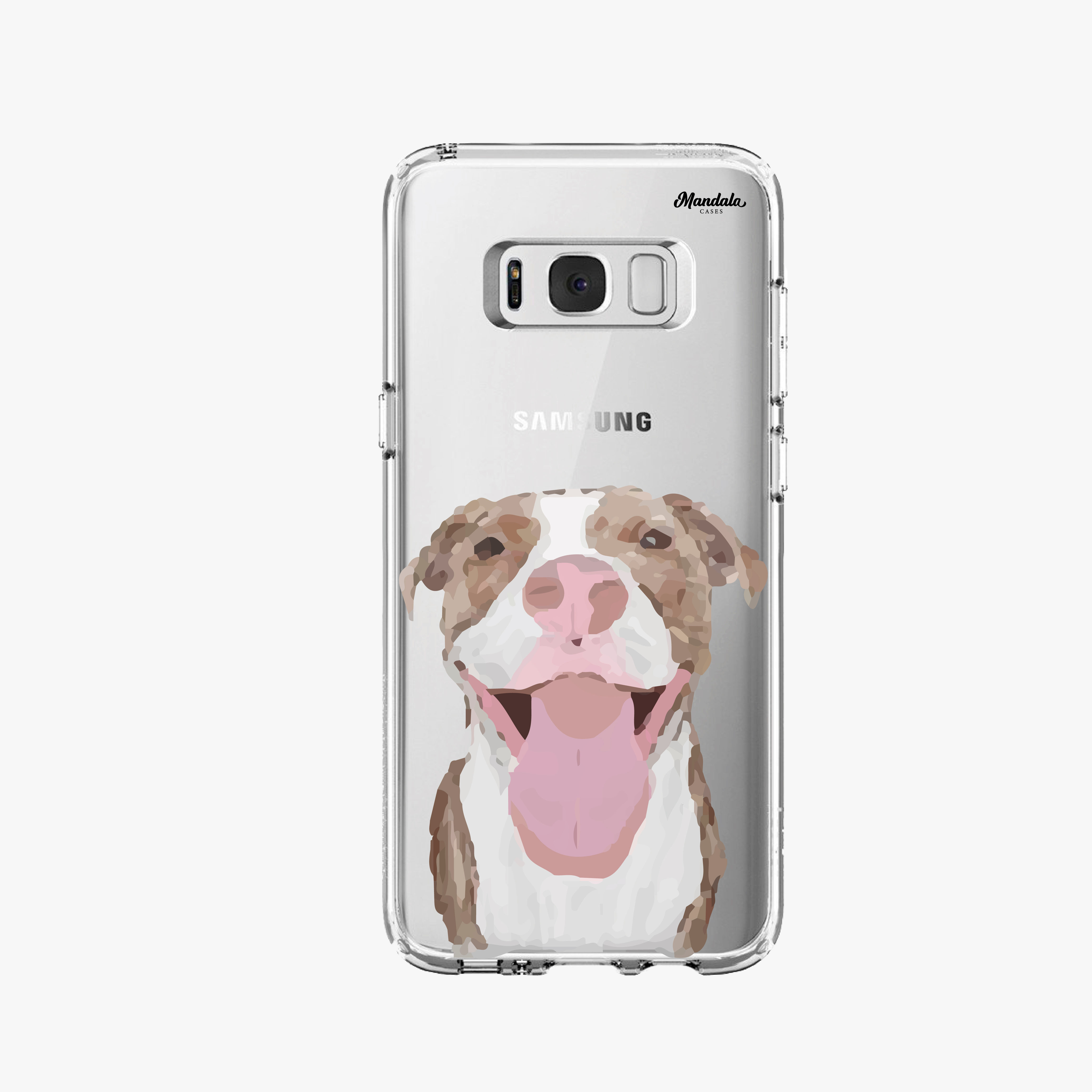 Pitbull case