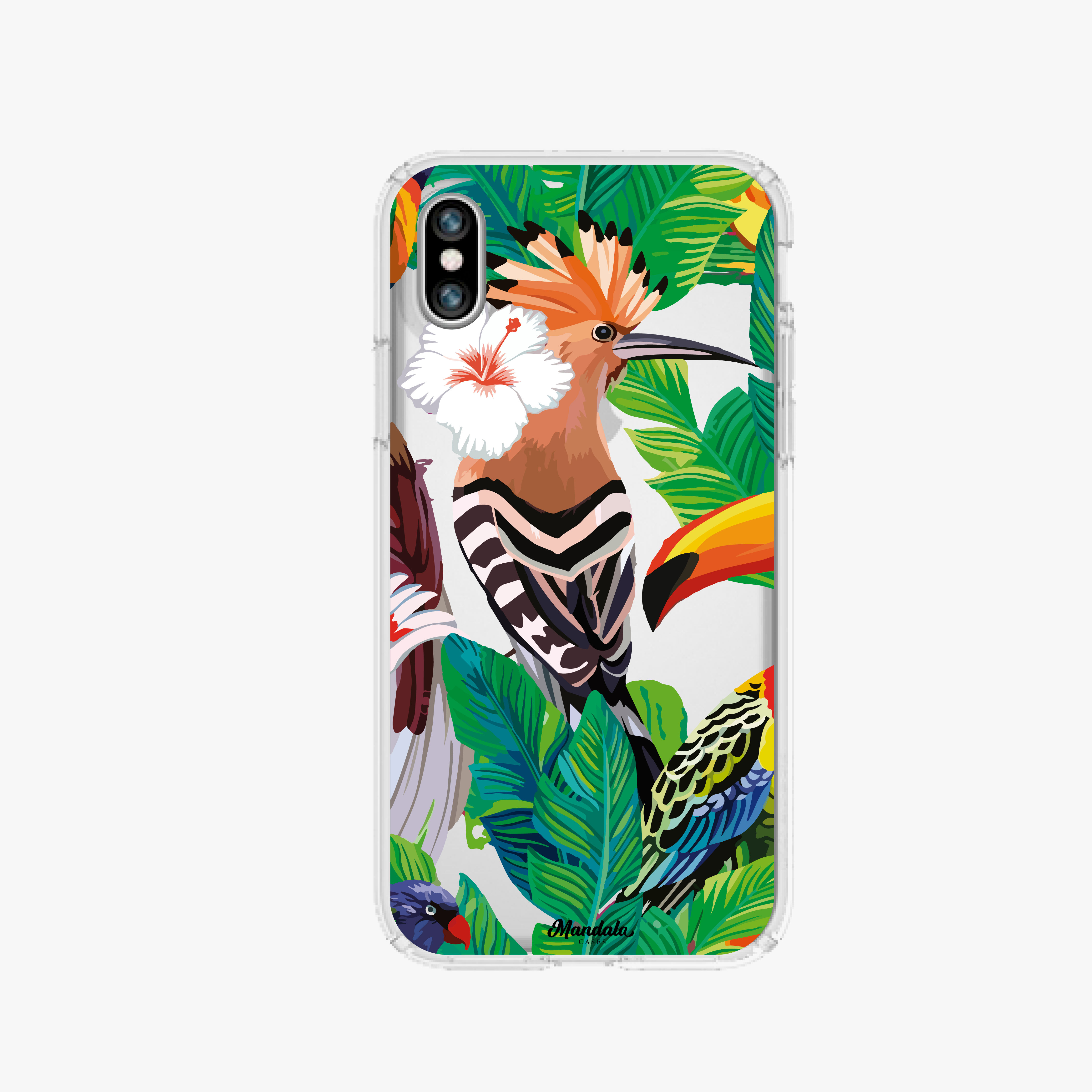 Birds case