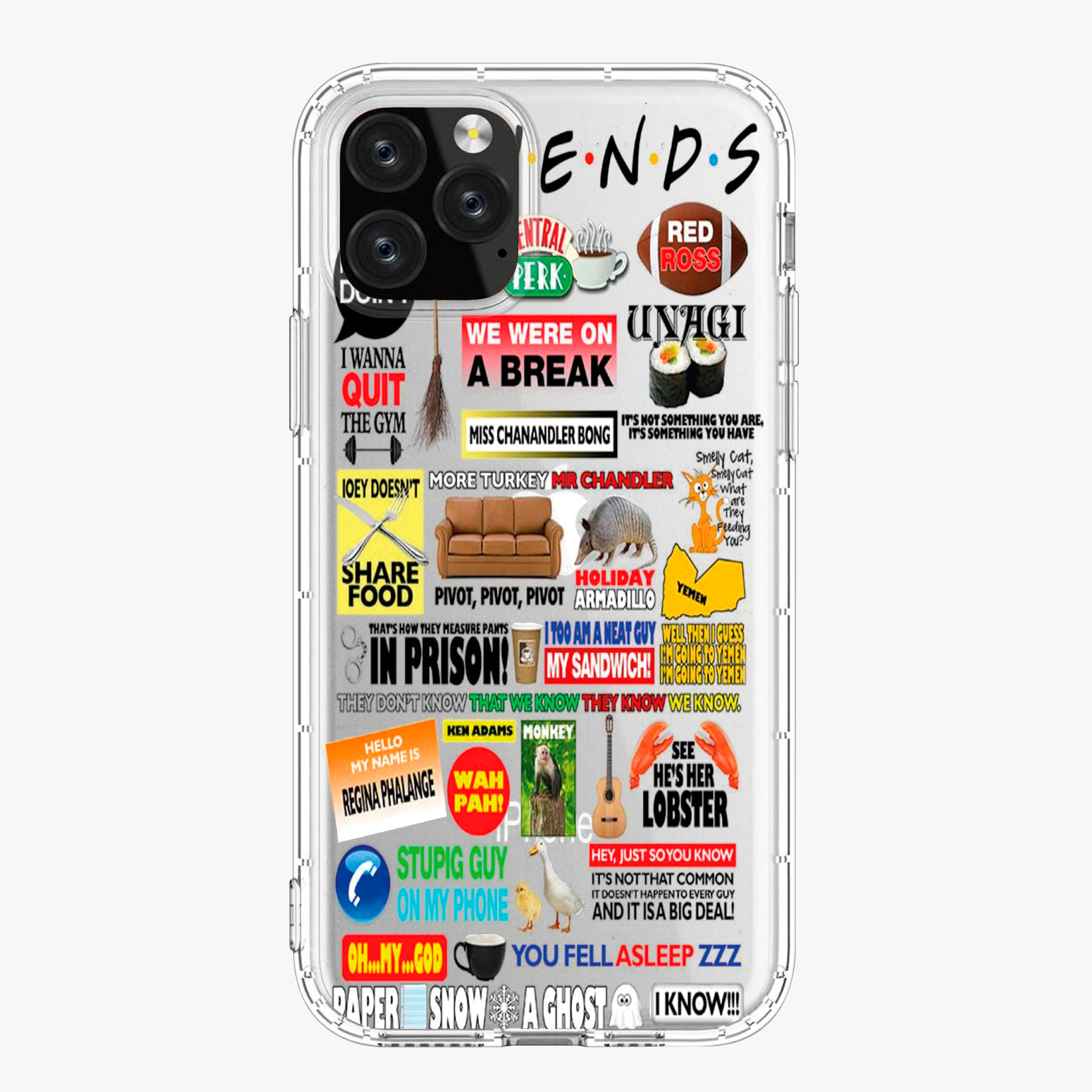 FRIENDS Case