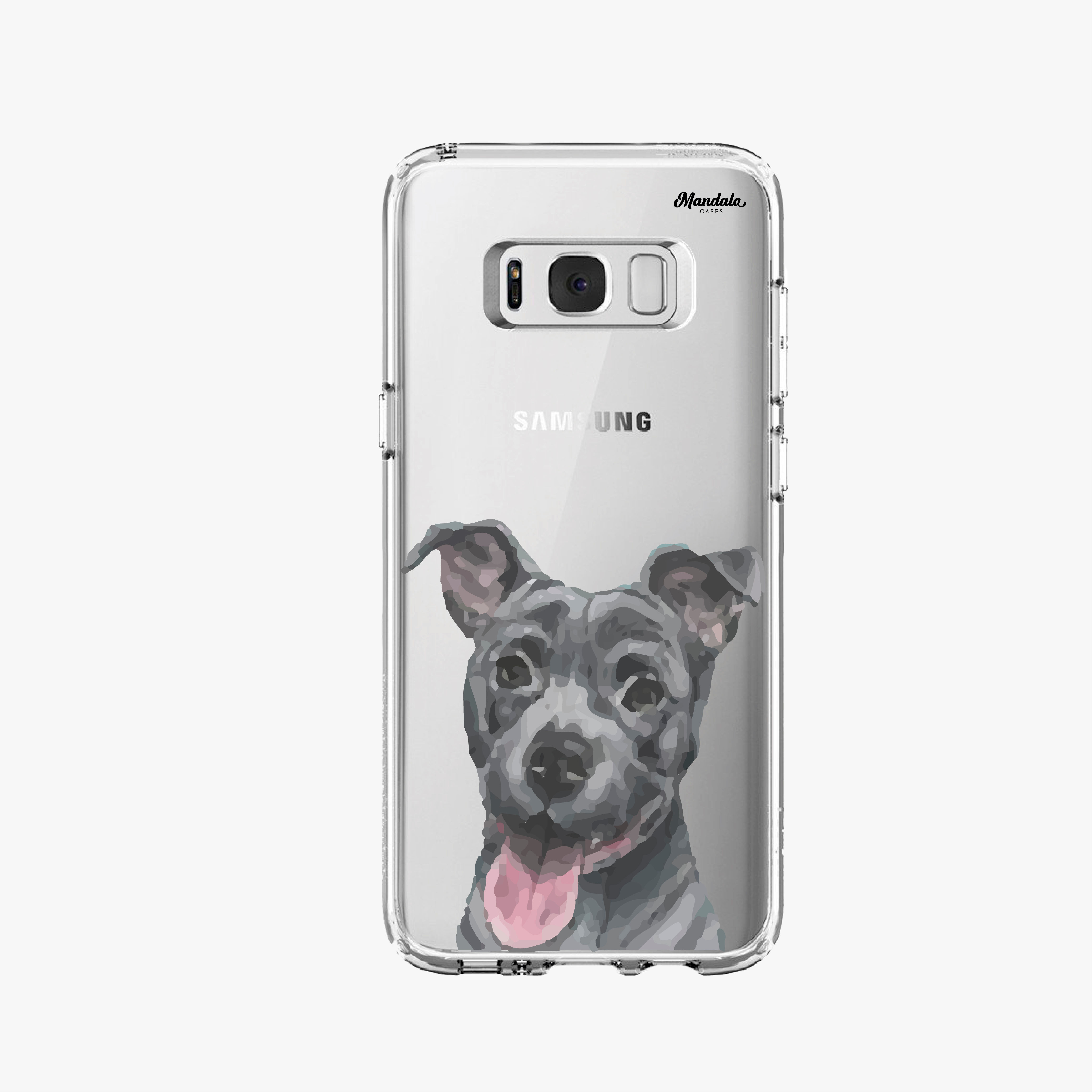 Pitbull case
