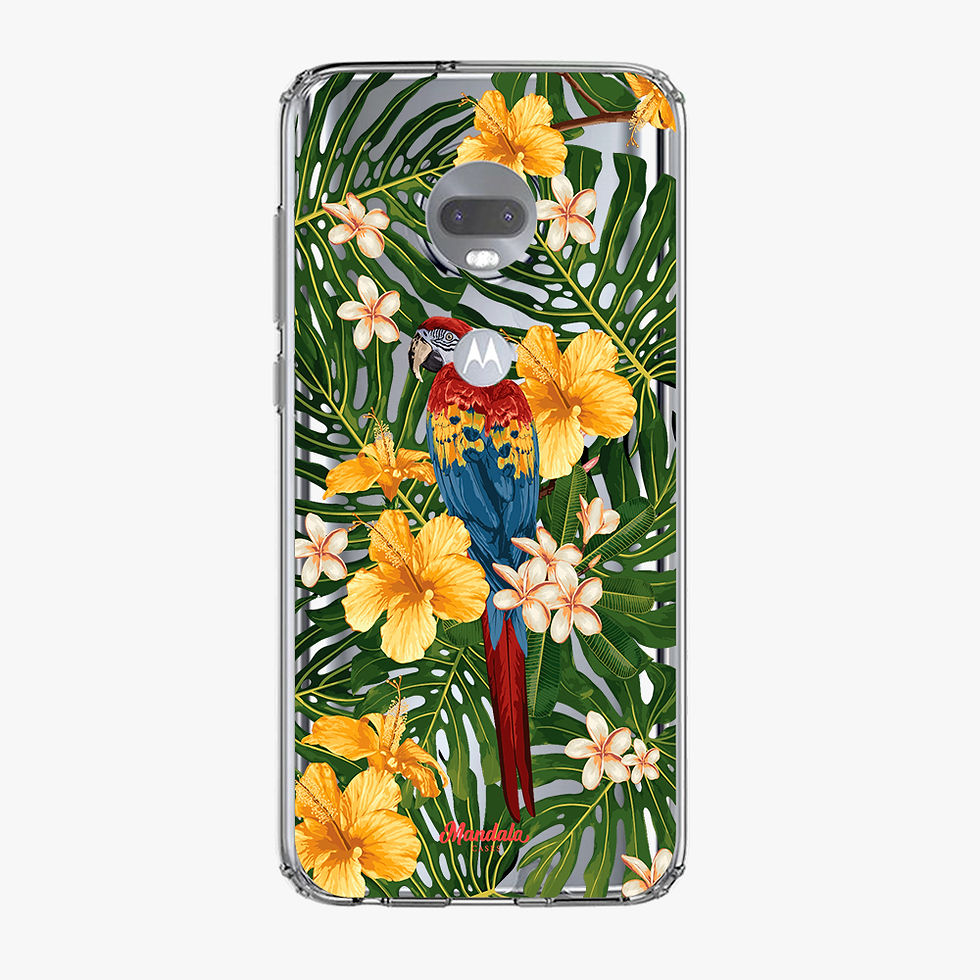 Miniatura: Macaw Cases