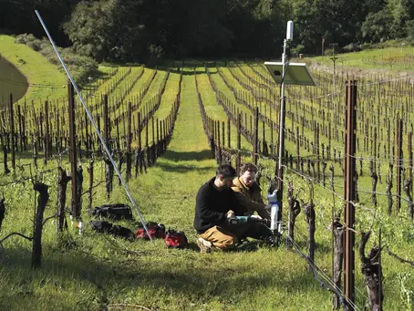 How Lumo Is Helping California Wineries Conserve Water